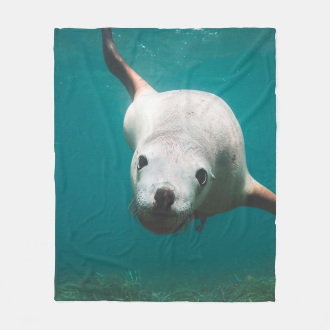 Beautiful Sea Lion Fleece Blanket (Front)