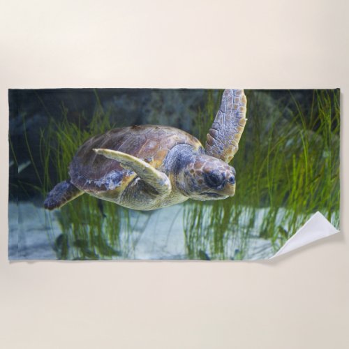 Beautiful Sea Turtle Swimming Beach Towel
