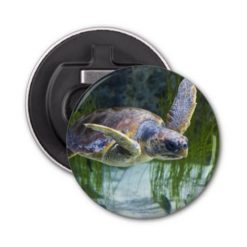 Beautiful Sea Turtle Swimming Bottle Opener