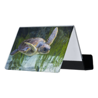 Beautiful Sea Turtle Swimming Desk Business Card Holder