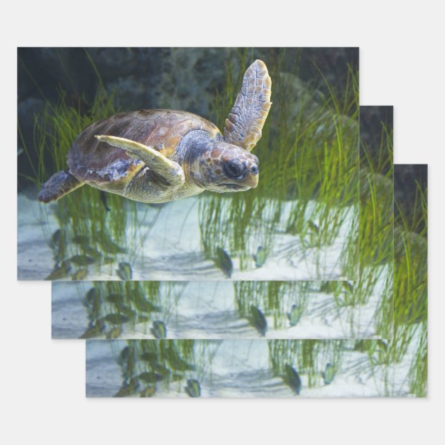 Beautiful Sea Turtle Swimming Horizontal Wrapping Paper Sheets (Set)