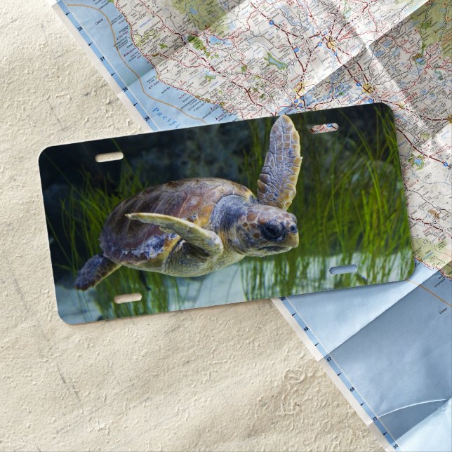 Beautiful Sea Turtle Swimming License Plate (In Situ)