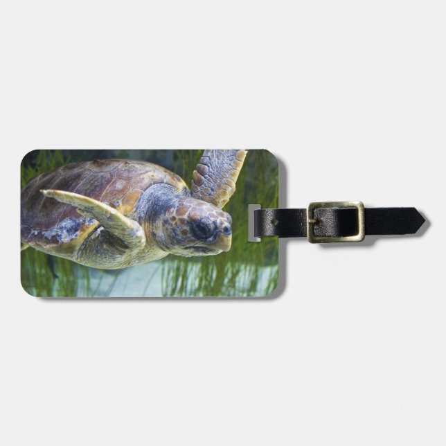 Beautiful Sea Turtle Swimming Luggage Tag (Front Horizontal)
