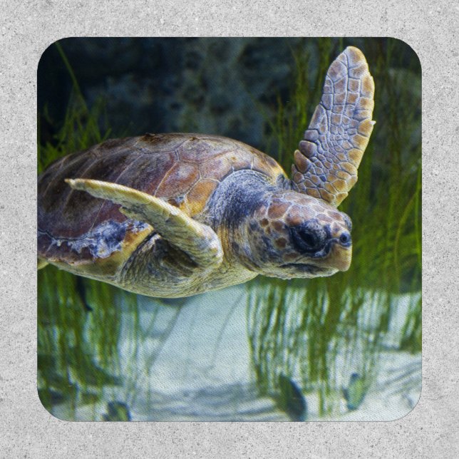 Beautiful Sea Turtle Swimming Patch (Front)