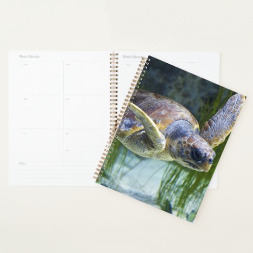 Beautiful Sea Turtle Swimming Planner