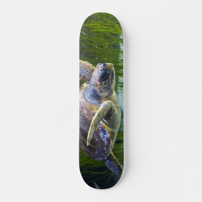 Beautiful Sea Turtle Swimming Skateboard (Front)