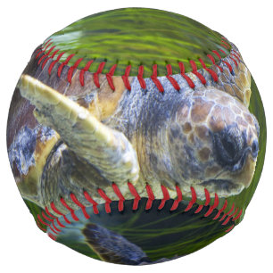 Beautiful Sea Turtle Swimming Softball