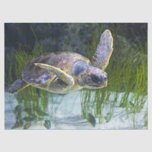 Beautiful Sea Turtle Swimming Tissue Paper