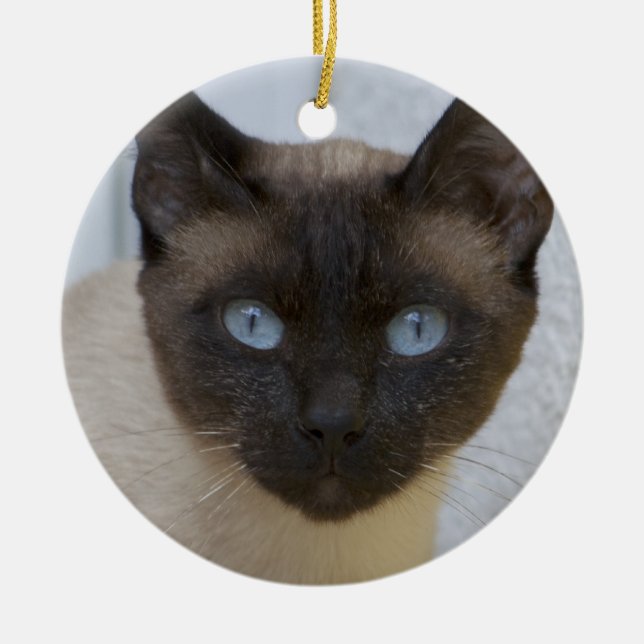 Beautiful Seal Point Siamese Cat Ceramic Ornament (Front)
