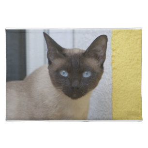 Beautiful Seal Point Siamese Cat Cloth Placemat
