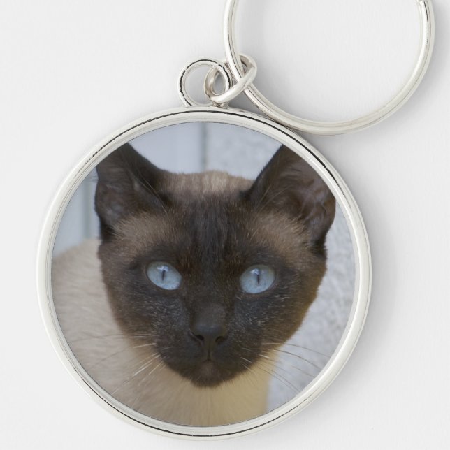 Beautiful Seal Point Siamese Cat Keychain (Front)