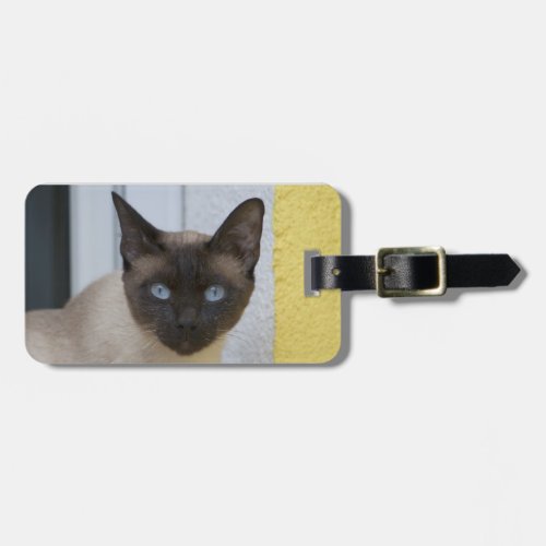 Beautiful Seal Point Siamese Cat Luggage Tag
