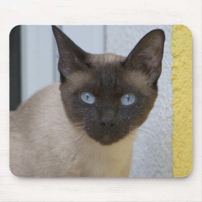 Beautiful Seal Point Siamese Cat Mouse Pad (Front)