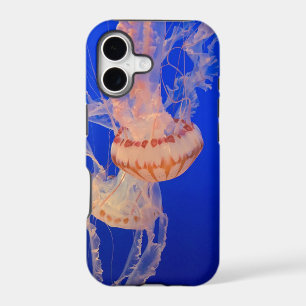 Beautiful Seascape iPhone 17 Case