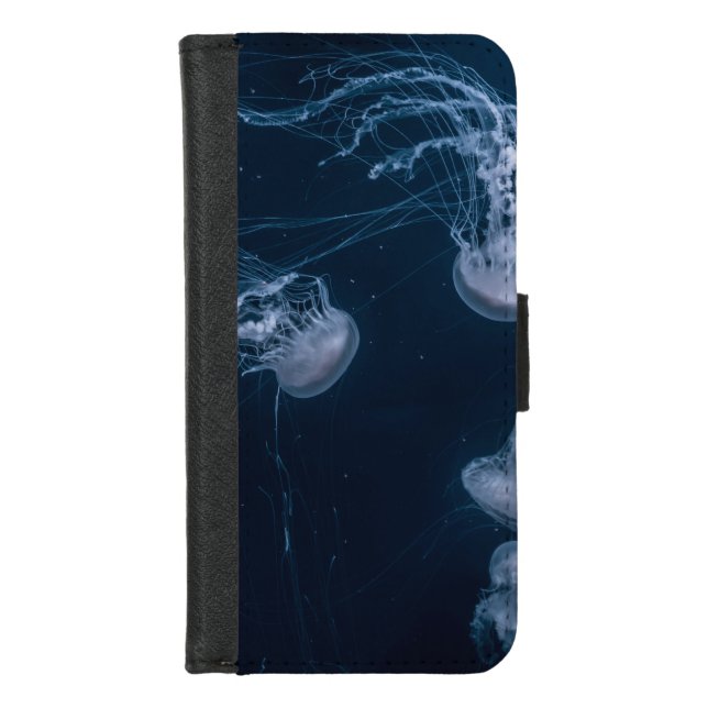 Beautiful Seascape iPhone Wallet Case (Front)