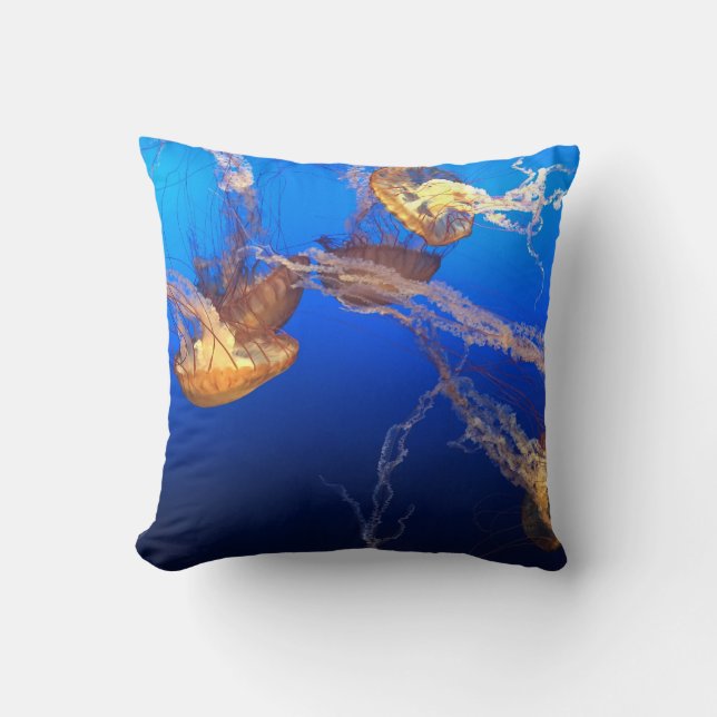 Beautiful Seascape Throw Pillow (Front)