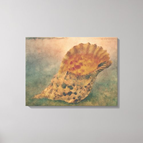 Beautiful Seashell Canvas Print