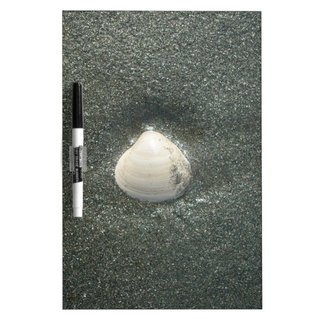 Beautiful Seashell in the Sand: A Salty Souvenir Dry Erase Board (Front)