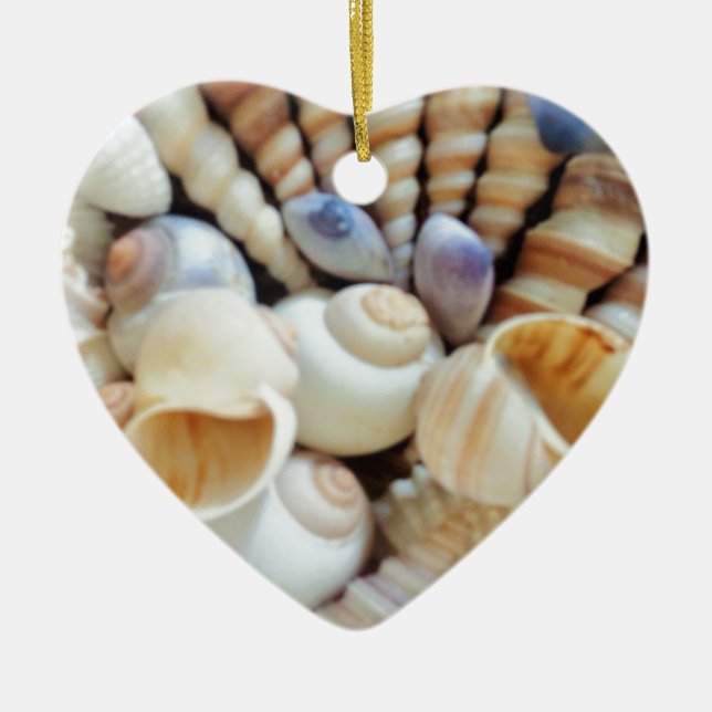 Beautiful Seashells, Summer, Beach, Shells Ceramic Ornament (Front)