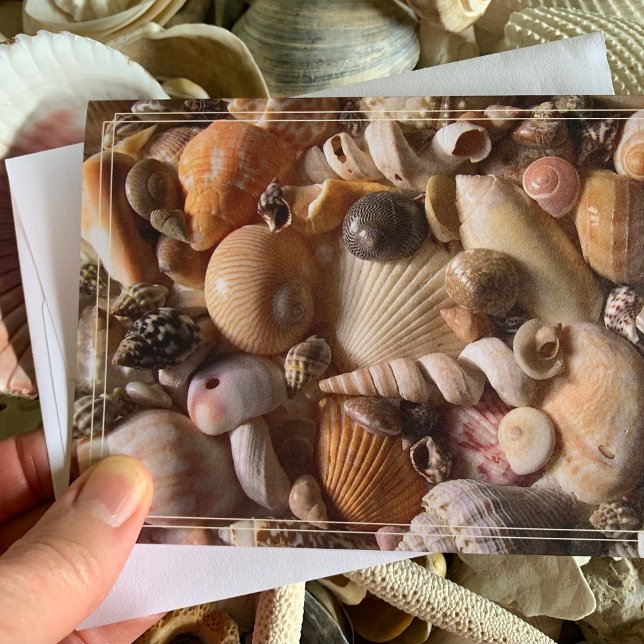 Beautiful Seashells Tropical Collection Note Card (Creator Uploaded)