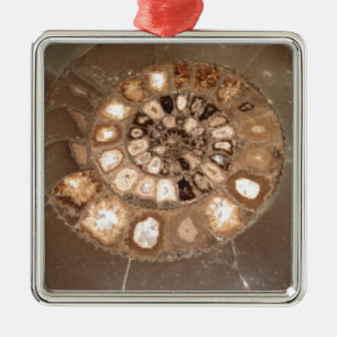 Beautiful sectioned Dactylioceras ammnite fossil Metal Ornament