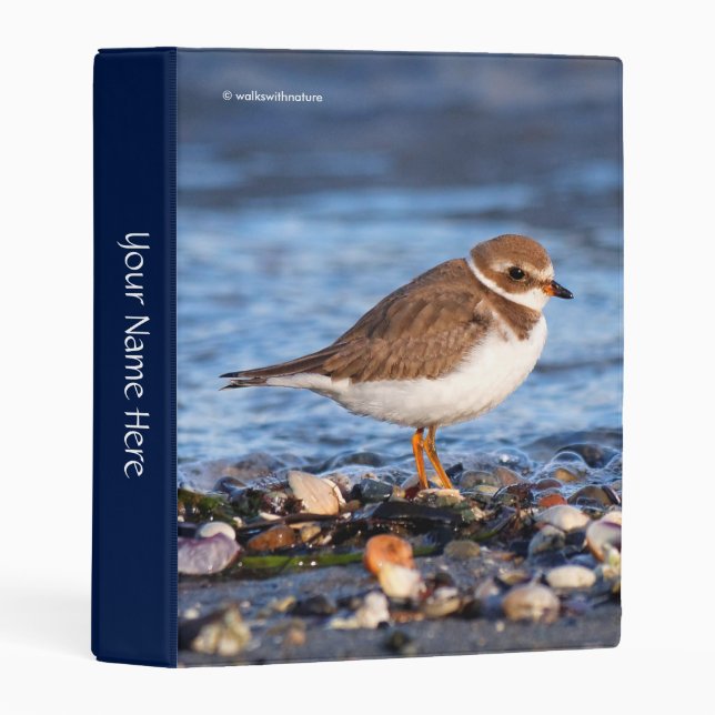 Beautiful Semipalmated Plover at the Beach Mini Binder (Front/Spine)