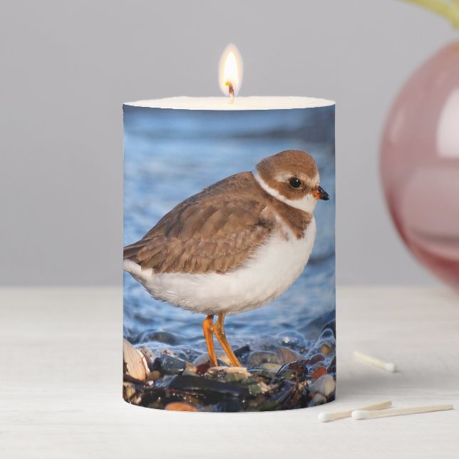 Beautiful Semipalmated Plover at the Beach Pillar Candle (In Situ)