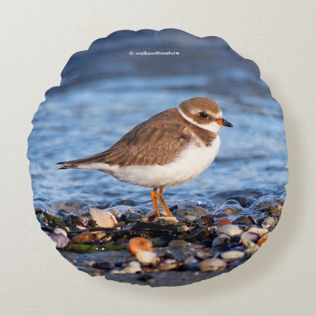 Beautiful Semipalmated Plover at the Beach Round Pillow (Front)