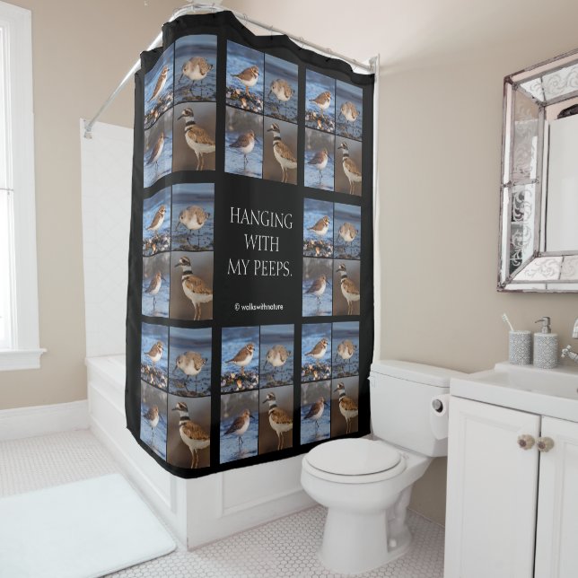 Beautiful Semipalmated Plover at the Beach Shower Curtain (In Situ)