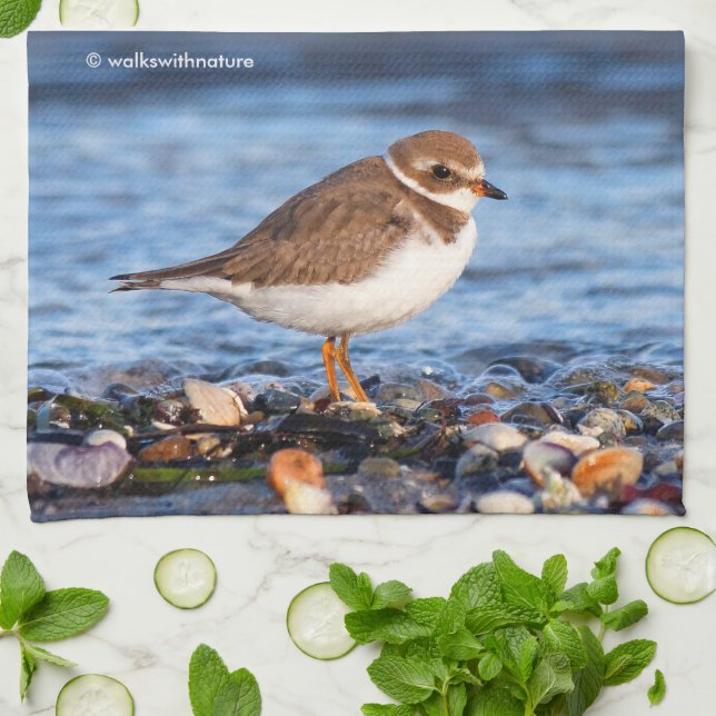 Beautiful Semipalmated Plover at the Beach Towel (Folded)