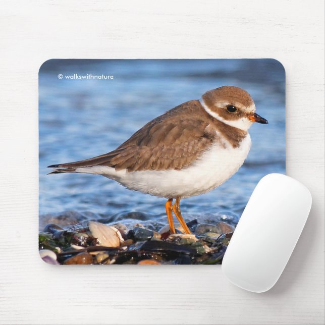 Beautiful Semipalmated Plover on Beach Mouse Pad (With Mouse)