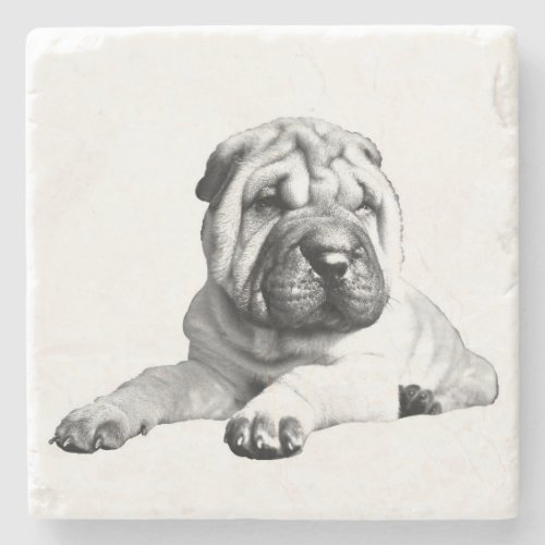 Beautiful Shar Pei Marble Coaster