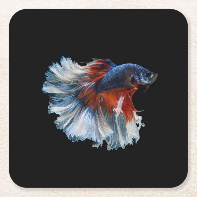 Beautiful Siamese Betta Fish Square Paper Coaster (Front)