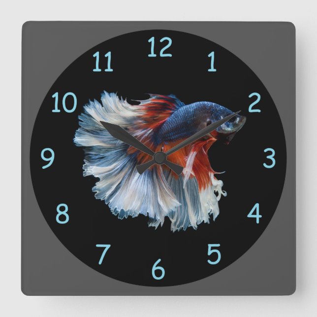Beautiful Siamese Betta Fish Square Wall Clock (Front)