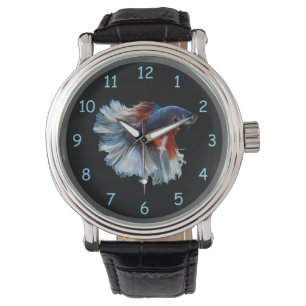 Beautiful Siamese Betta Fish Watch
