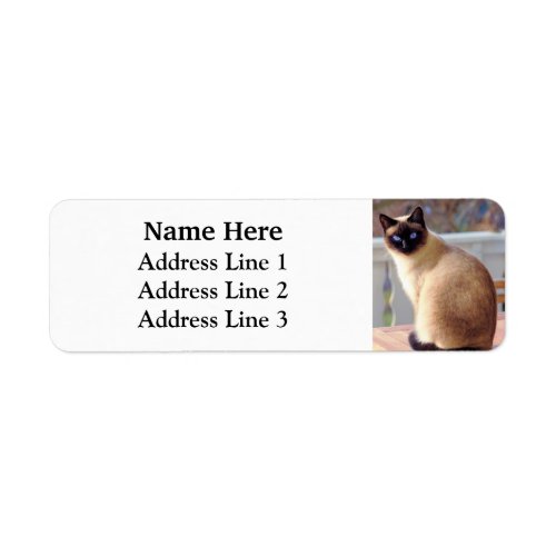 Beautiful Siamese Cat Blue Eyes Return Address Label