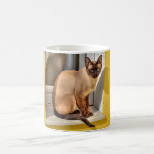 Beautiful Siamese Cat Coffee Mug