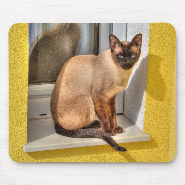 Beautiful Siamese Cat Mouse Pad (Front)