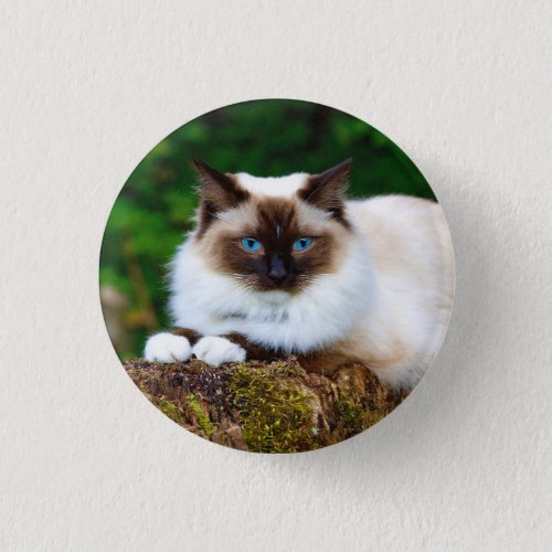 Beautiful Siamese Cat Photo Button