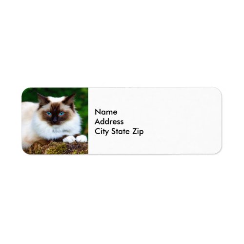 Beautiful Siamese Cat Photo Label