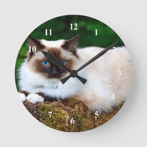 Beautiful Siamese Cat Photo Round Clock