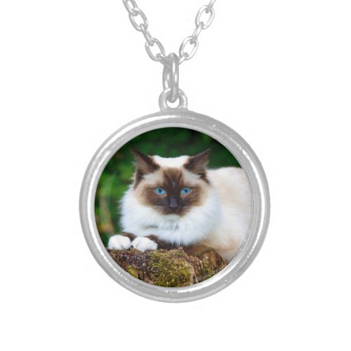 Beautiful Siamese Cat Photo Silver Plated Necklace