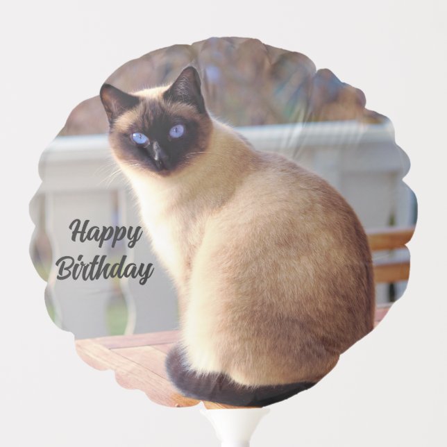 Beautiful Siamese Cat with Blue Eyes Balloon (Front)