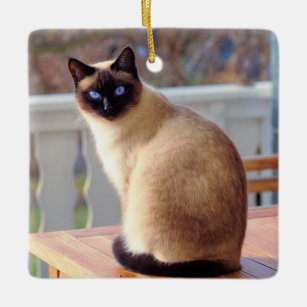 Beautiful Siamese Cat with Blue Eyes Ceramic Ornament