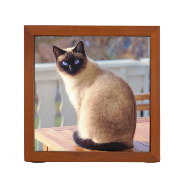 Beautiful Siamese Cat with Blue Eyes Desk Organizer (Front)