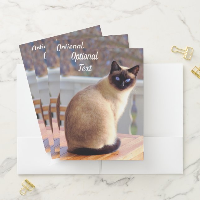 Beautiful Siamese Cat with Blue Eyes Pocket Folder (In Situ)