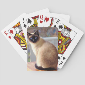 Beautiful Siamese Cat with Blue Eyes Poker Cards