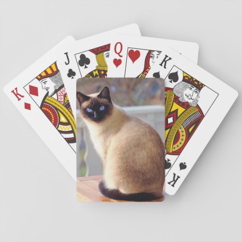 Beautiful Siamese Cat with Blue Eyes Poker Cards