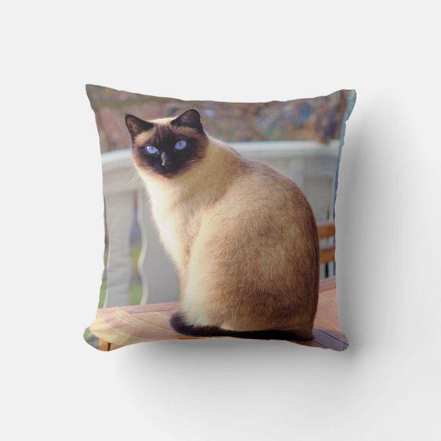 Beautiful Siamese Cat with Blue Eyes Throw Pillow (Front)