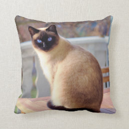 Beautiful Siamese Cat with Blue Eyes Throw Pillow